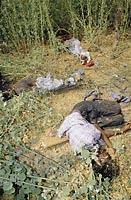 Bodies of four Muslim boys