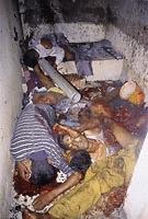 Bodies of six Al-Umma activists?